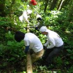 放置林の保育作業（玉切り）