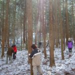 森林の林分調査（間伐木の選木）